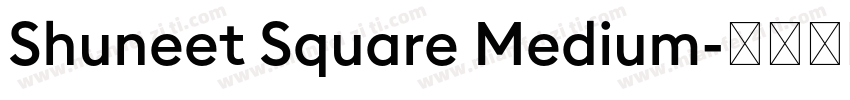 Shuneet Square Medium字体转换